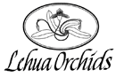 Lehua Orchids
