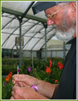 Leahua Orchids - Big Island Orchid Grower